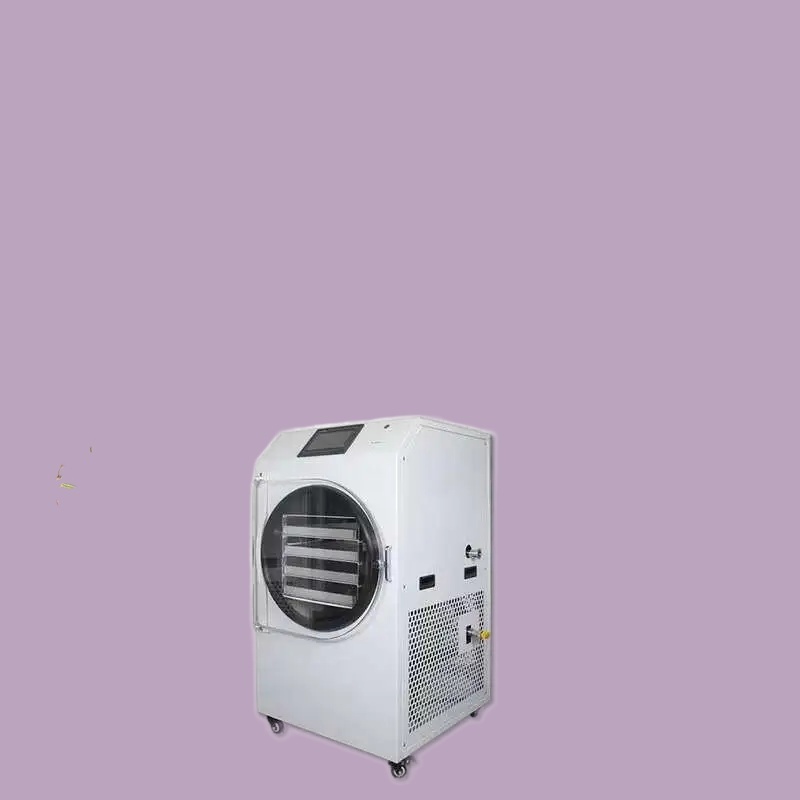 Sale Home 6kg Fruit Freeze Dry - Dried Fruit 评论和价格
